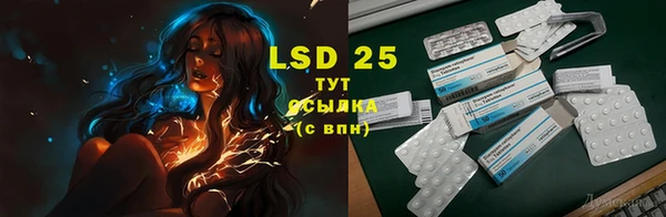 ECSTASY Вязьма