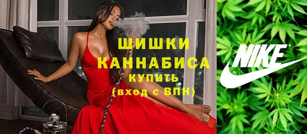 МДПВ Волоколамск