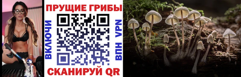 Псилоцибиновые грибы ЛСД  Назарово 